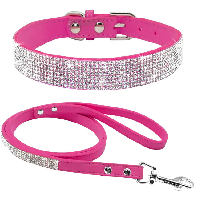 Sparkle Leash & Collar