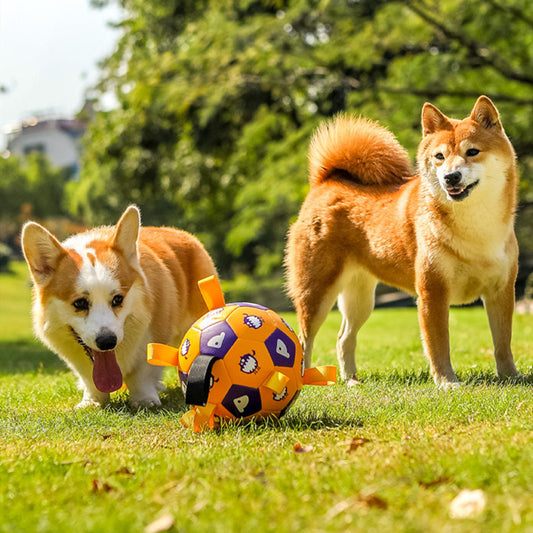 Interactive Pet Football Dog Outdoor Toy