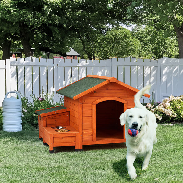 Dog House With Feeding Station