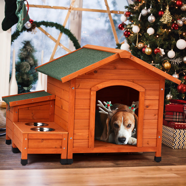 Dog House With Feeding Station