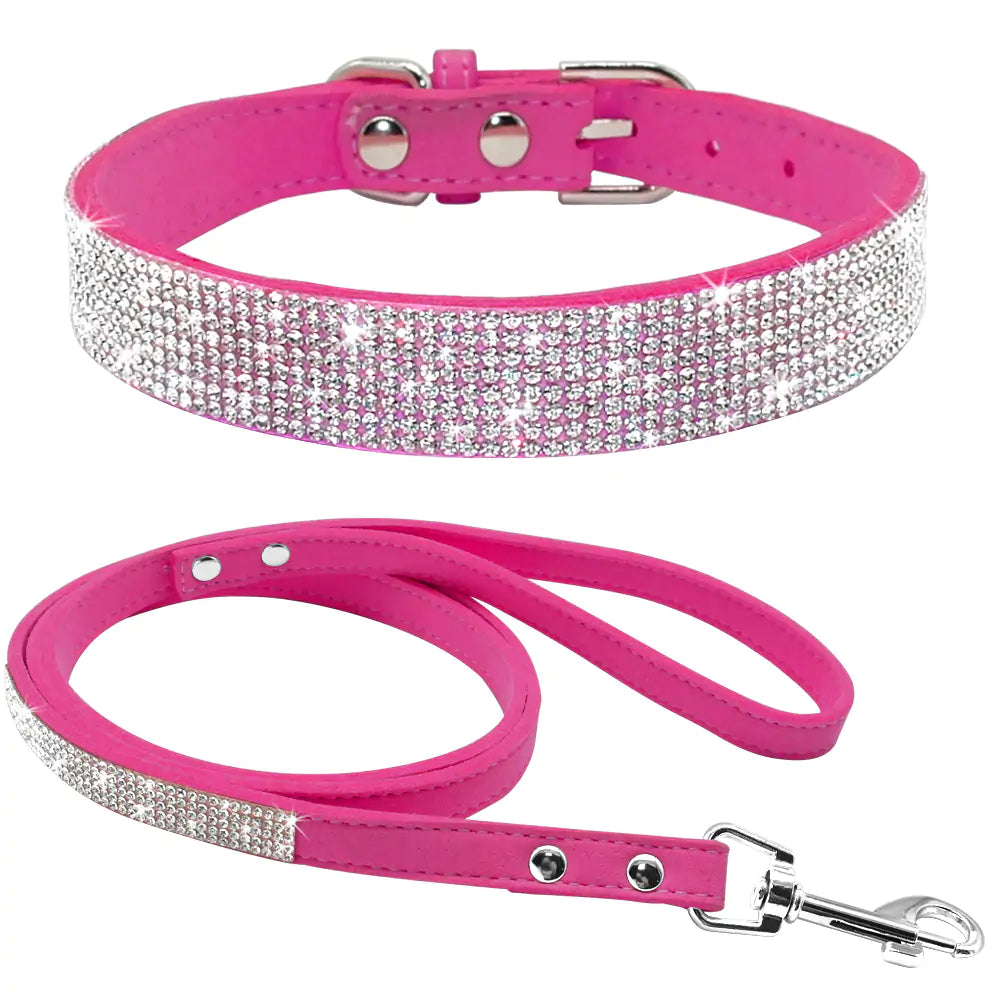 Sparkle Leash & Collar