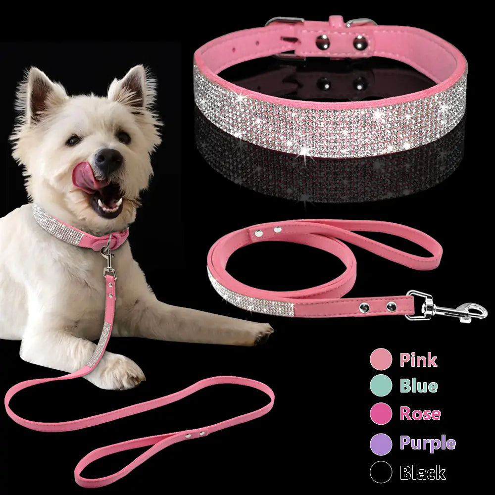 Sparkle Leash & Collar