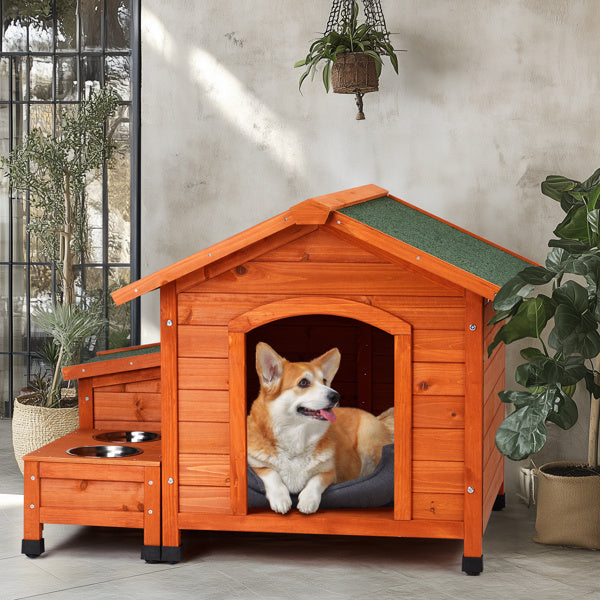 Dog House With Feeding Station