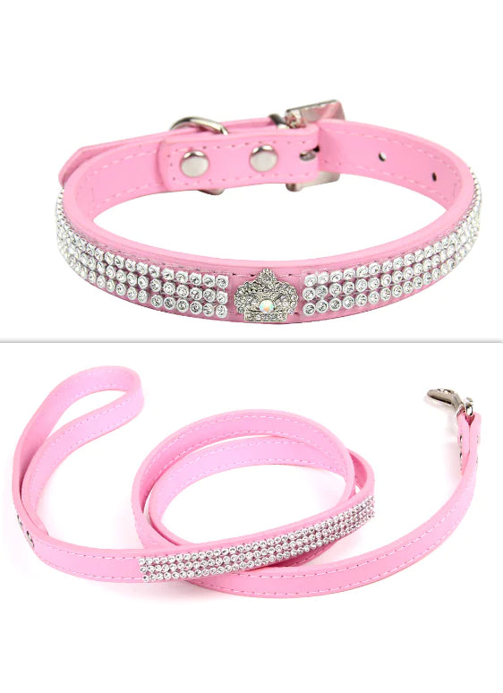 Sparkle Leash & Collar