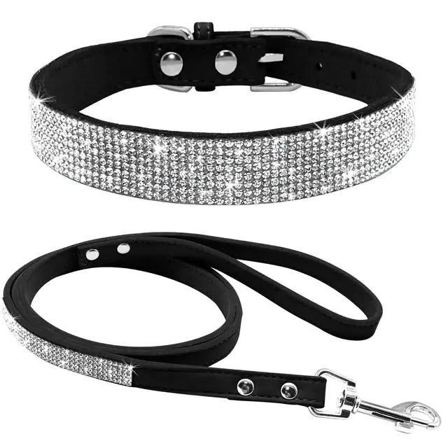 Sparkle Leash & Collar