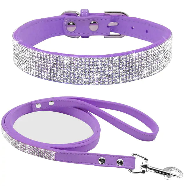 Sparkle Leash & Collar