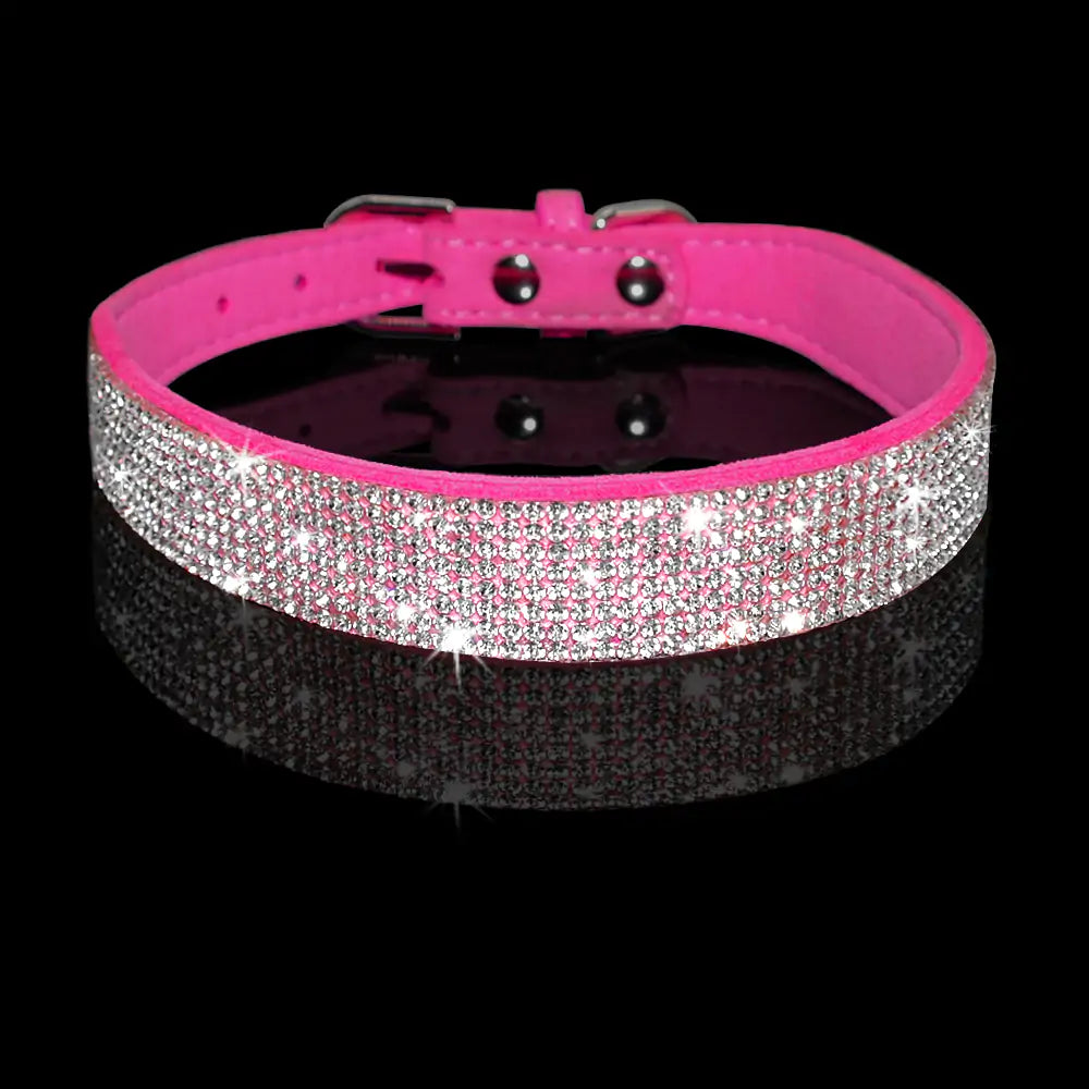 Sparkle Leash & Collar